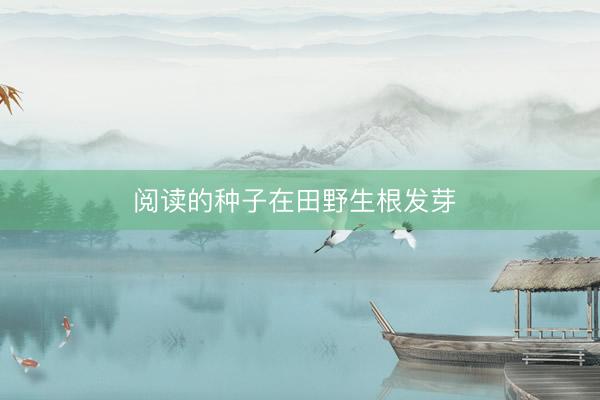 阅读的种子在田野生根发芽 