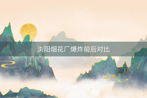 浏阳烟花厂爆炸前后对比