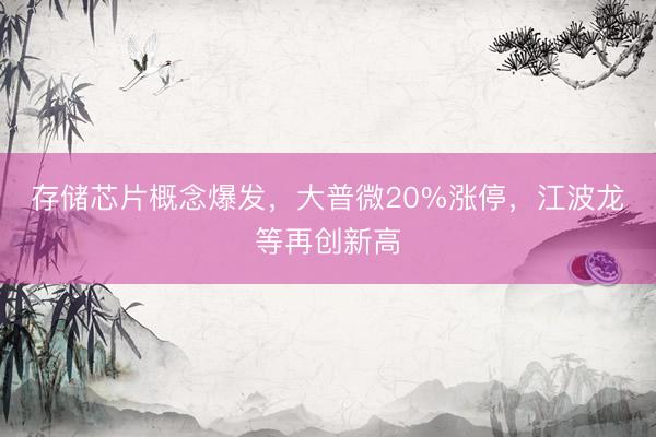 存储芯片概念爆发，大普微20%涨停，江波龙等再创新高
