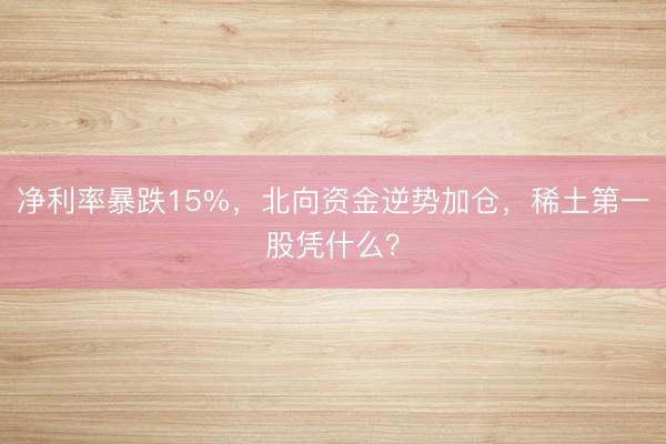 净利率暴跌15%，北向资金逆势加仓，稀土第一股凭什么？