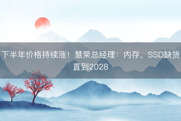 下半年价格持续涨！慧荣总经理：内存、SSD缺货直到2028