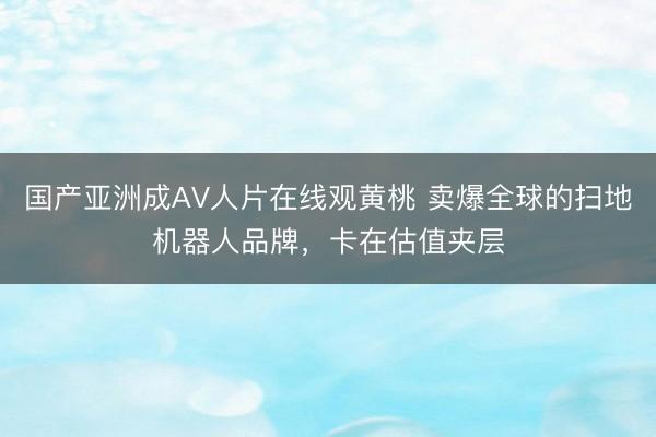 国产亚洲成AV人片在线观黄桃 卖爆全球的扫地机器人品牌，卡在估值夹层