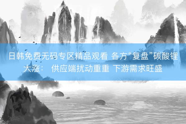 日韩免费无码专区精品观看 各方“复盘”碳酸锂大涨： 供应端扰动重重 下游需求旺盛