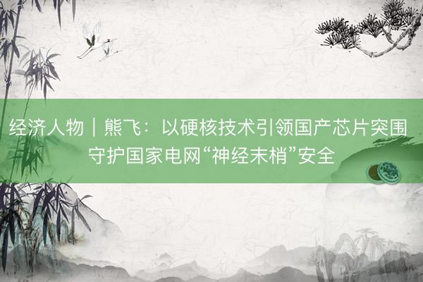 经济人物｜熊飞：以硬核技术引领国产芯片突围 守护国家电网“神经末梢”安全