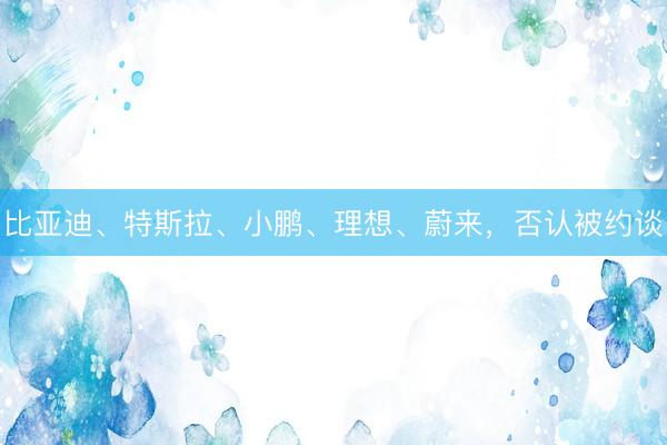 比亚迪、特斯拉、小鹏、理想、蔚来，否认被约谈