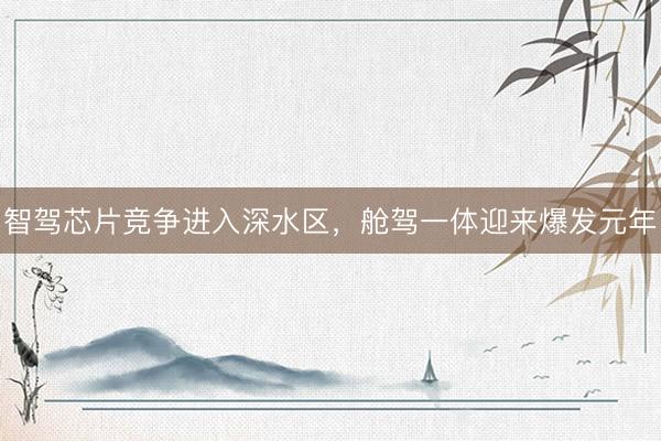 智驾芯片竞争进入深水区,舱驾一体迎来爆发元年