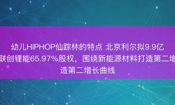 幼儿HIPHOP仙踪林的特点 北京利尔拟9.9亿元收购联创锂能65.97%股权，围绕新能源材料打造第二增长曲线