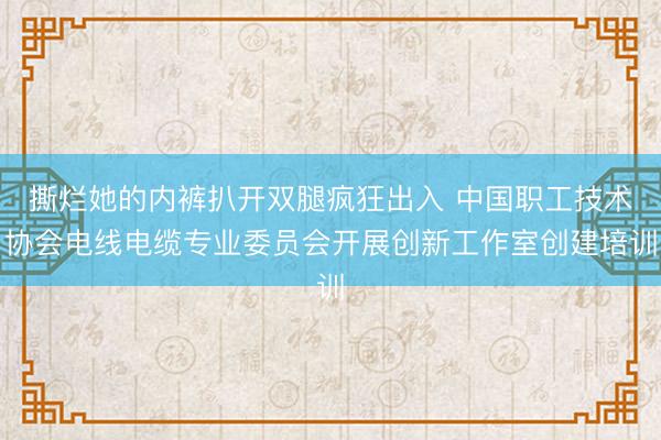 撕烂她的内裤扒开双腿疯狂出入 中国职工技术协会电线电缆专业委员会开展创新工作室创建培训