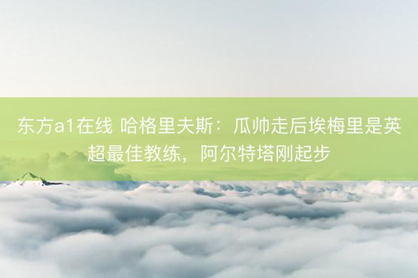 东方a1在线 哈格里夫斯：瓜帅走后埃梅里是英超最佳教练，阿尔特塔刚起步