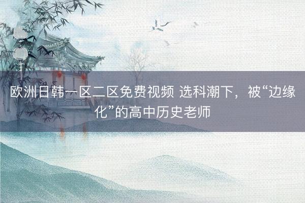 欧洲日韩一区二区免费视频 选科潮下，被“边缘化”的高中历史老师