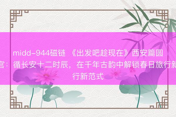 midd-944磁链 《出发吧趁现在》西安篇圆满收官：循长安十二时辰，在千年古韵中解锁春日旅行新范式