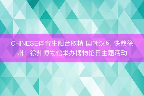 CHINESE体育生阳台取精 国潮汉风 快哉徐州！徐州博物馆举办博物馆日主题活动