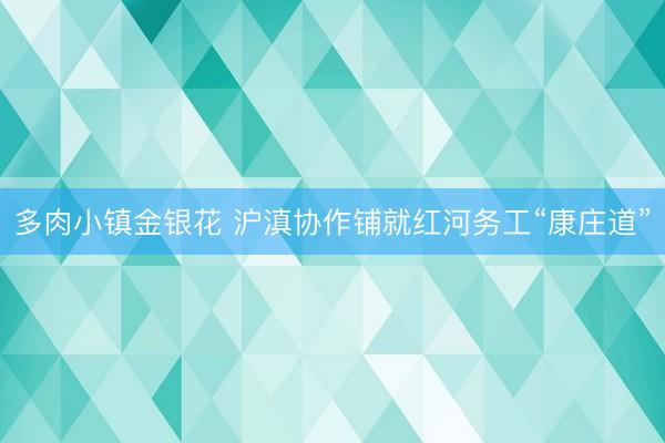 多肉小镇金银花 沪滇协作铺就红河务工“康庄道”