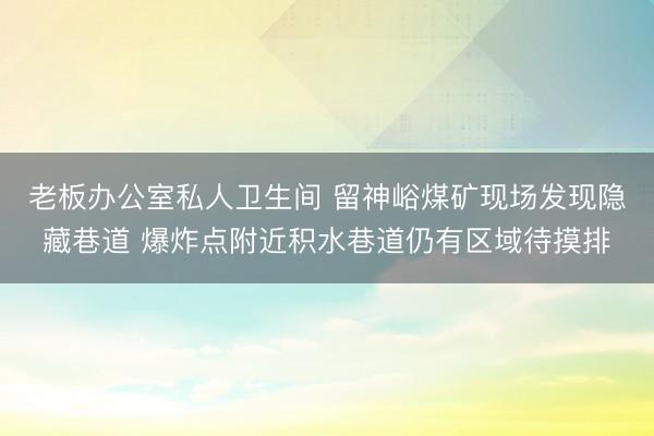 老板办公室私人卫生间 留神峪煤矿现场发现隐藏巷道 爆炸点附近积水巷道仍有区域待摸排