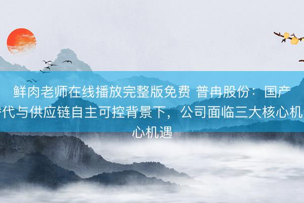 鲜肉老师在线播放完整版免费 普冉股份：国产替代与供应链自主可控背景下，公司面临三大核心机遇
