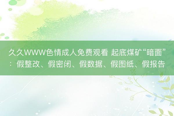 久久WWW色情成人免费观看 起底煤矿“暗面”：假整改、假密闭、假数据、假图纸、假报告