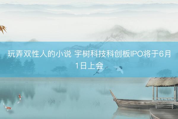 玩弄双性人的小说 宇树科技科创板IPO将于6月1日上会