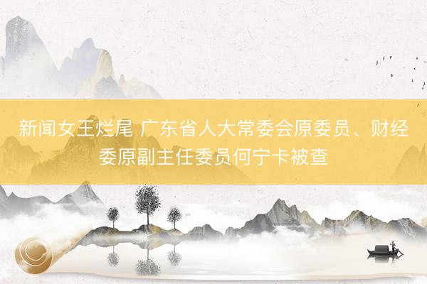 新闻女王烂尾 广东省人大常委会原委员、财经委原副主任委员何宁卡被查