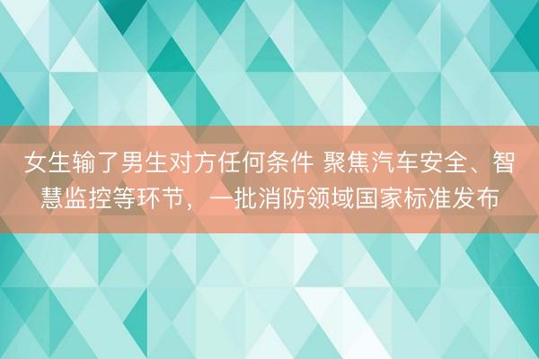 女生输了男生对方任何条件 聚焦汽车安全、智慧监控等环节，一批消防领域国家标准发布