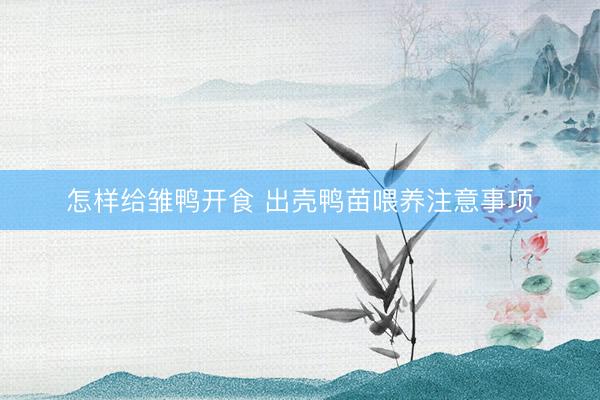 怎样给雏鸭开食 出壳鸭苗喂养注意事项