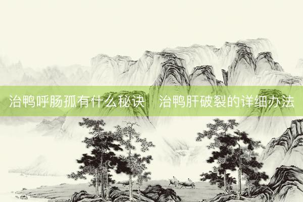 治鸭呼肠孤有什么秘诀   治鸭肝破裂的详细办法