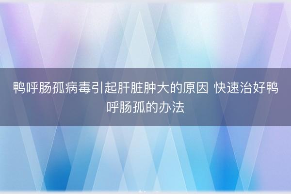 鸭呼肠孤病毒引起肝脏肿大的原因 快速治好鸭呼肠孤的办法