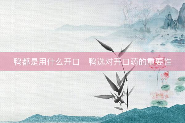 鸭都是用什么开口   鸭选对开口药的重要性