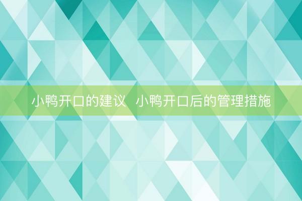 小鸭开口的建议 小鸭开口后的管理措施
