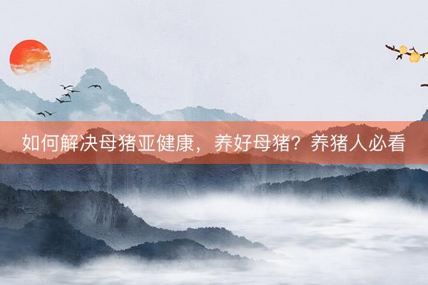 如何解决母猪亚健康,养好母猪?养猪人必看