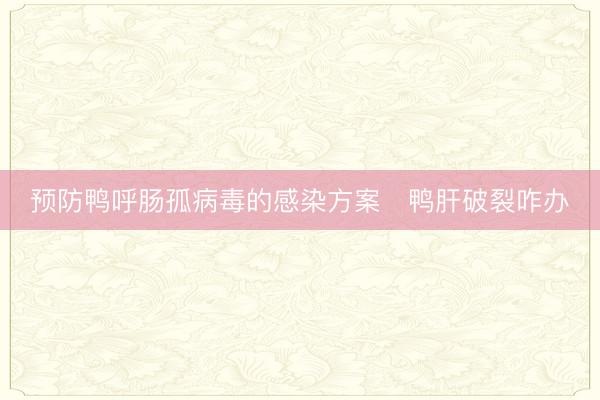 预防鸭呼肠孤病毒的感染方案   鸭肝破裂咋办
