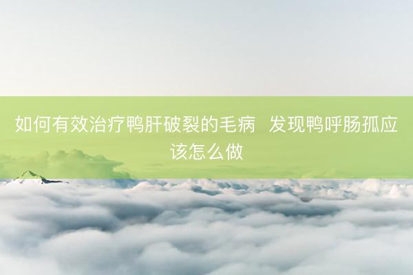 如何有效治疗鸭肝破裂的毛病 发现鸭呼肠孤应该怎么做