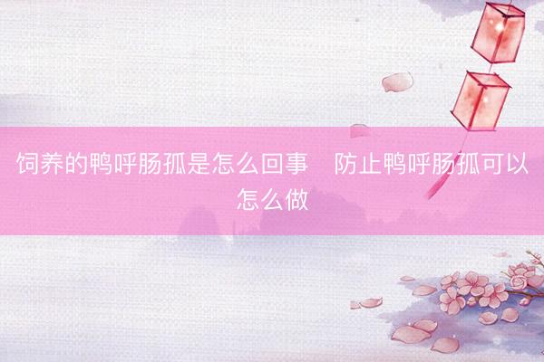 饲养的鸭呼肠孤是怎么回事   防止鸭呼肠孤可以怎么做