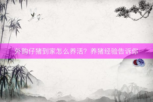 外购仔猪到家怎么养活？养猪经验告诉你