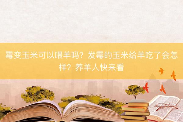 霉变玉米可以喂羊吗？发霉的玉米给羊吃了会怎样？养羊人快来看