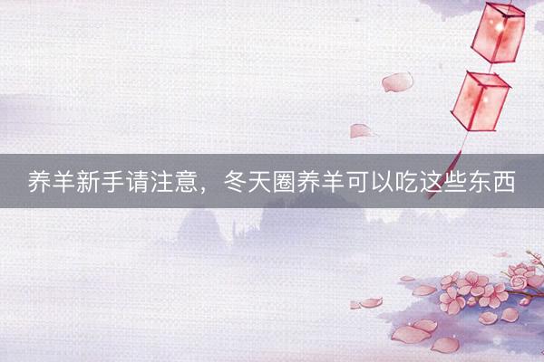 养羊新手请注意,冬天圈养羊可以吃这些东西