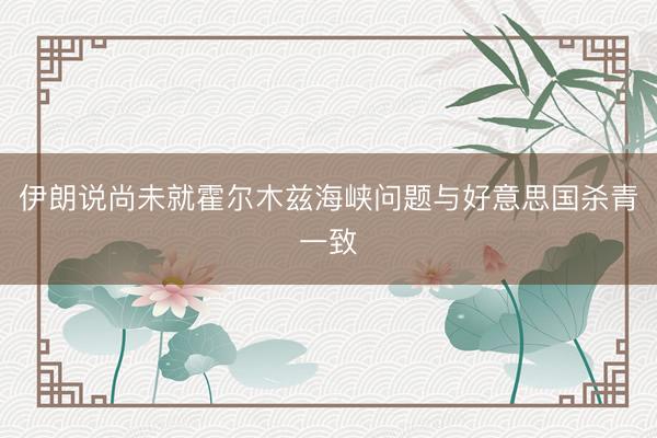 伊朗说尚未就霍尔木兹海峡问题与好意思国杀青一致