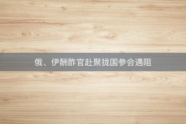 俄、伊酬酢官赴聚拢国参会遇阻