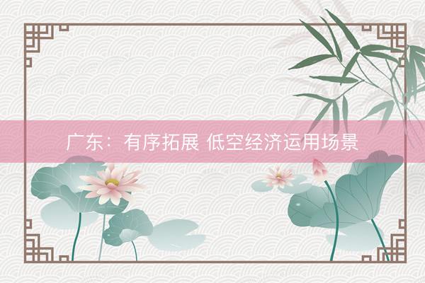广东：有序拓展 低空经济运用场景
