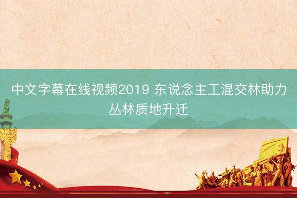 中文字幕在线视频2019 东说念主工混交林助力丛林质地升迁