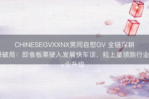 CHINESEGVXXNX男同自慰GV 全链深耕 健康破局：即食板栗驶入发展快车谈，粒上皇领跑行业升级