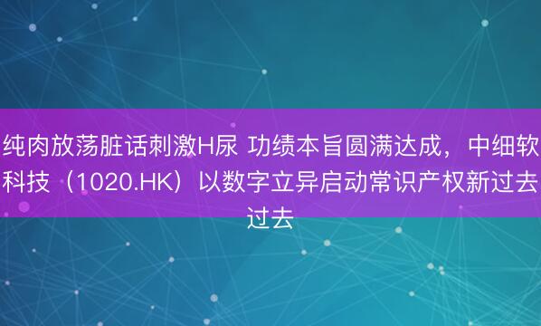 纯肉放荡脏话刺激H尿 功绩本旨圆满达成，中细软科技（1020.HK）以数字立异启动常识产权新过去