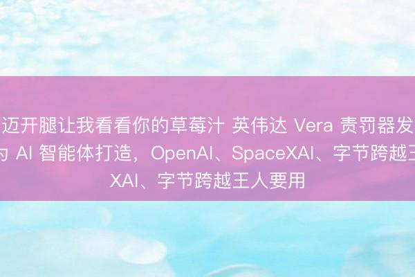 迈开腿让我看看你的草莓汁 英伟达 Vera 责罚器发布：专为 AI 智能体打造，OpenAI、SpaceXAI、字节跨越王人要用