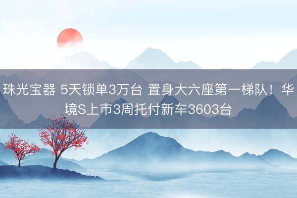 珠光宝器 5天锁单3万台 置身大六座第一梯队！华境S上市3周托付新车3603台