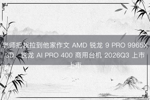 老师把我拉到他家作文 AMD 锐龙 9 PRO 9965X3D、锐龙 AI PRO 400 商用台机 2026Q3 上市