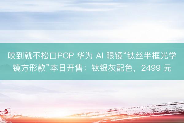 咬到就不松口POP 华为 AI 眼镜“钛丝半框光学镜方形款”本日开售：钛银灰配色，2499 元
