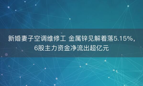 新婚妻子空调维修工 金属锌见解着落5.15%，6股主力资金净流出超亿元