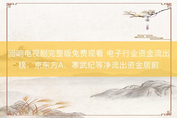 回响电视剧完整版免费观看 电子行业资金流出榜：京东方A、寒武纪等净流出资金居前