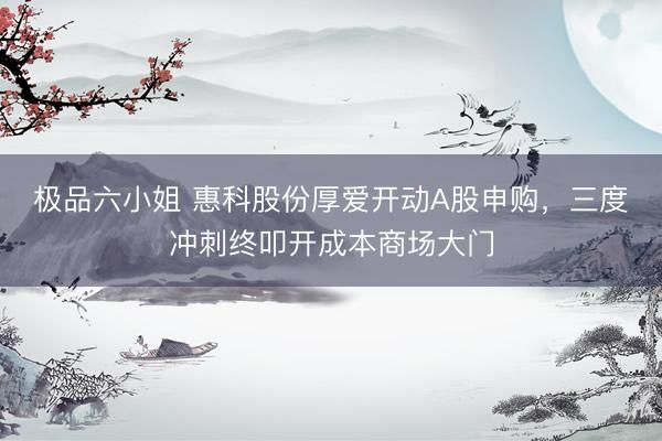 极品六小姐 惠科股份厚爱开动A股申购，三度冲刺终叩开成本商场大门