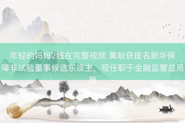 年轻的妈妈2线在完整视频 黄耿获提名新华保障非试验董事候选东谈主,现任职于金融监管总局
