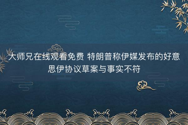 大师兄在线观看免费 特朗普称伊媒发布的好意思伊协议草案与事实不符